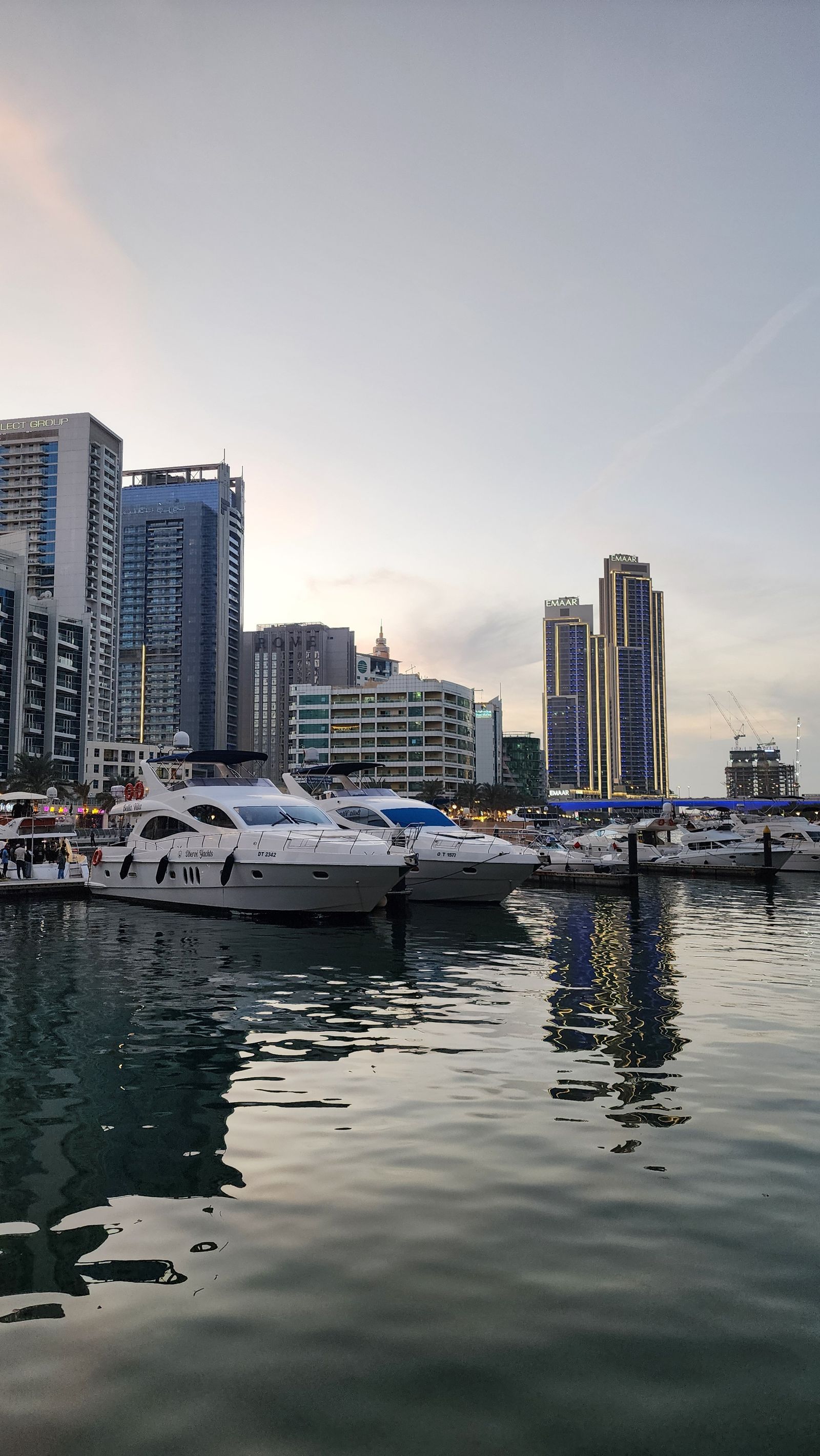 Yachts moored at a UAE marina